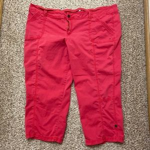 Maurices size 24 capris